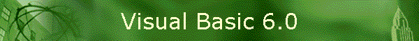 Visual Basic 6.0